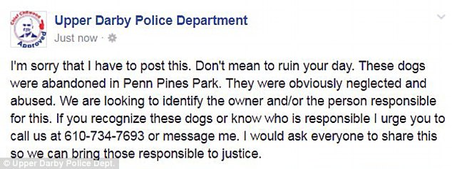 Police are seeking the public's help in order to bring the people responsible to justice