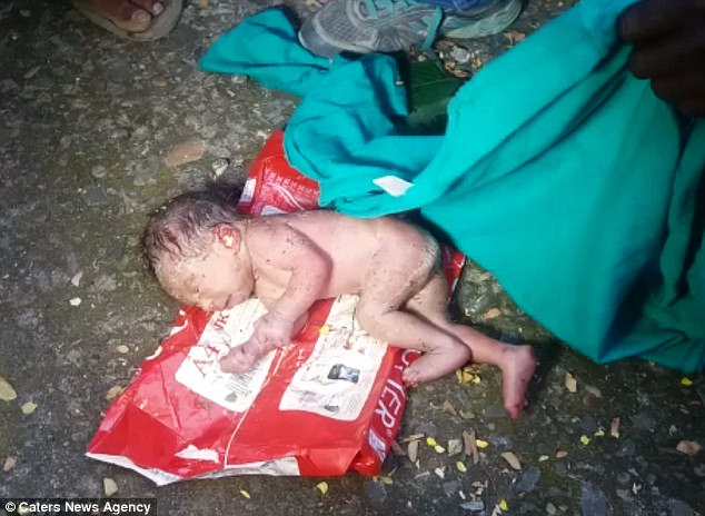 Abandoned: The newborn baby girl was found inside a bin and covered in ants after a passer-by heard her cries