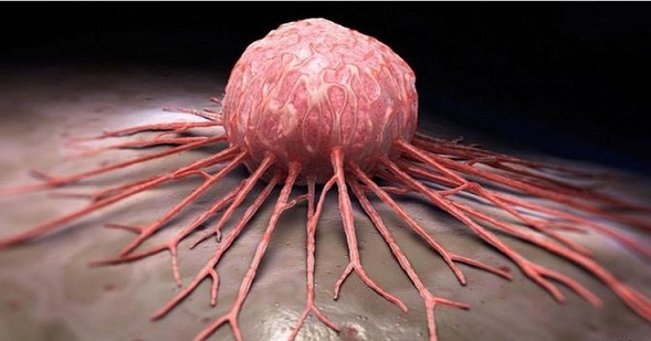 any-type-of-cancer-can-be-healed