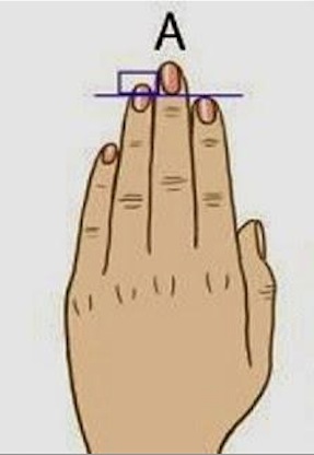 fingers (2)