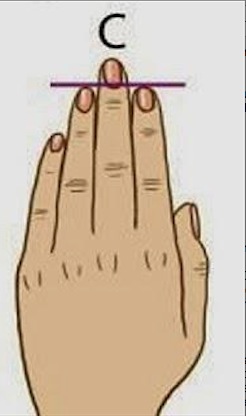 fingers (4)