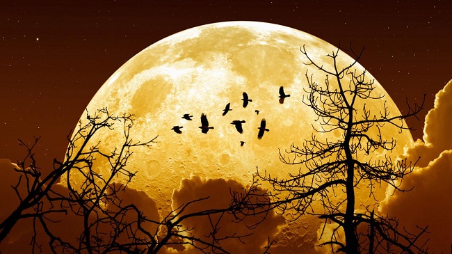 supermoon