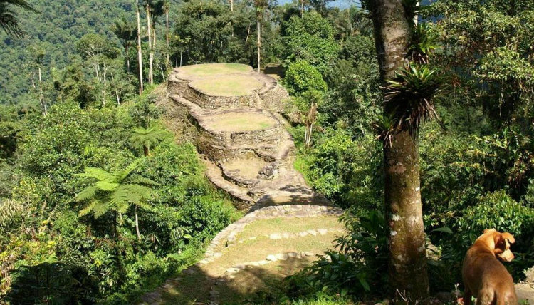 Ciudad Perdida Ciudad Perdida